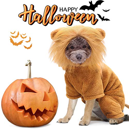 Idepet Disfraz de Mascota, Disfraz de Halloween para Perro, Disfraz de León, Cachorro, Navidad, Divertidos Disfraces de Cosplay, Gatos, Ropa Divertida