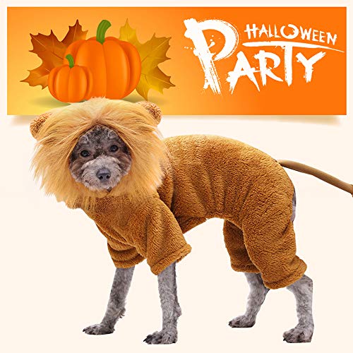 Idepet Disfraz de Mascota, Disfraz de Halloween para Perro, Disfraz de León, Cachorro, Navidad, Divertidos Disfraces de Cosplay, Gatos, Ropa Divertida