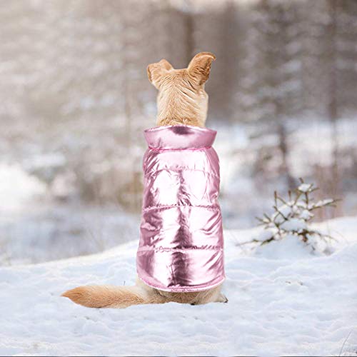 Idepet Perro Cachorro Abrigo de Invierno Mascota Gato Lindo Traje cálido Chaleco Ropa Ropa Perrito Clima frío Chaqueta con Capucha para Chihuahua Teddy Poodles Pomeranian