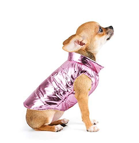 Idepet Perro Cachorro Abrigo de Invierno Mascota Gato Lindo Traje cálido Chaleco Ropa Ropa Perrito Clima frío Chaqueta con Capucha para Chihuahua Teddy Poodles Pomeranian