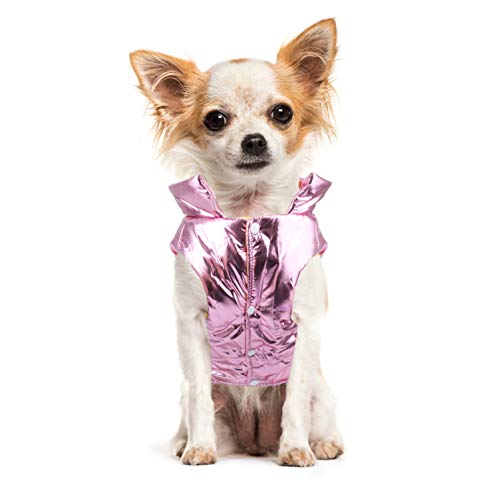 Idepet Perro Cachorro Abrigo de Invierno Mascota Gato Lindo Traje cálido Chaleco Ropa Ropa Perrito Clima frío Chaqueta con Capucha para Chihuahua Teddy Poodles Pomeranian