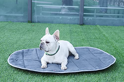 iEnergy BUR - Alfombrilla de descanso, colchoneta para perros, ideal para coche, camping, vacaciones, senderismo, mochileros y viajes, talla única para todas las razas, 110x80cm