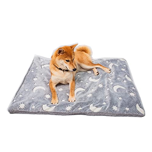 ikasus Manta para perros de 40 x 50 cm, lavable, cuadrada, cama para mascotas, cama para gatos para perros pequeños y medianos y gatos, de felpa corta brillante, color gris