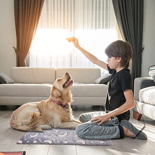 ikasus Manta para perros de 40 x 50 cm, lavable, cuadrada, cama para mascotas, cama para gatos para perros pequeños y medianos y gatos, de felpa corta brillante, color gris