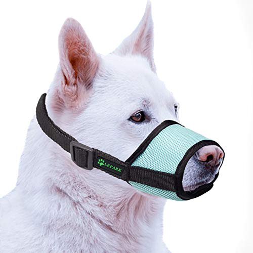 ILEPARK Bozal para Perros Cubierto con Malla Transpirable y Nailon Duradero, Bozal para Perro Ajustable y Suave para Evitar Que Muerda, Mastique y Ladre (M,Verde)