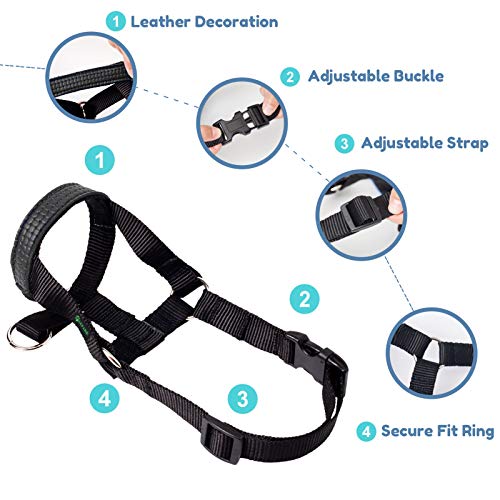 ILEPARK Cuello De Cabeza para Perros con Decoración de Cuero, Cabestro para Perros, Facilmente Controllabile (S,Negro)