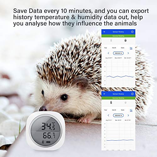 Inkbird IBS-TH1 Plus Bluetooth Registrador de Temperatura y Humedad Data Logger Termometro Digital con Sonda Externa y LCD Pantalla, Eléctrica de 2* Batería para Caja de Cigarro, Reptile Terrario