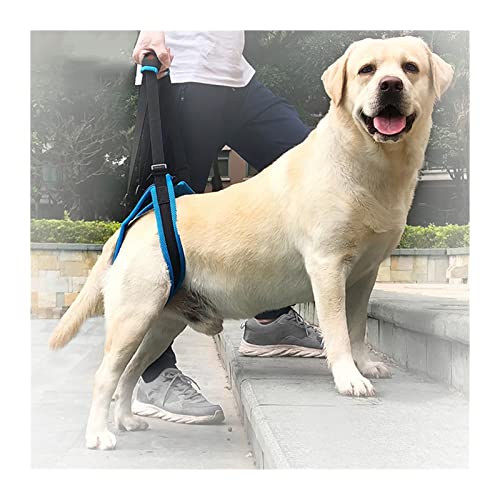 Inodoro para Cachorros Ajustable PET DOY Sling Levantamiento de arnés Pájaro Pierna Pierna trasera Ayuda para caminar Perros Mascotas Balance Arnés Auxiliar Cinturón Inodoro para Mascotas ( Size : L )