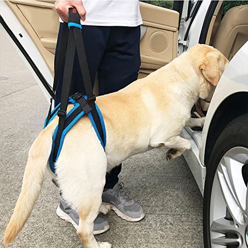 Inodoro para Cachorros Ajustable PET DOY Sling Levantamiento de arnés Pájaro Pierna Pierna trasera Ayuda para caminar Perros Mascotas Balance Arnés Auxiliar Cinturón Inodoro para Mascotas ( Size : L )