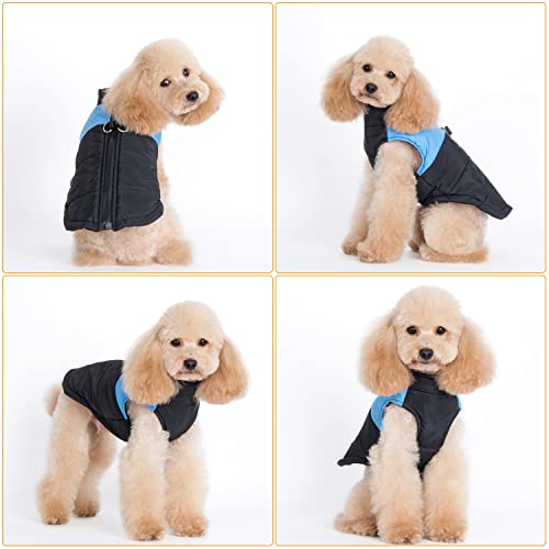 Invierno Perro Chaqueta,Abrigo Perro Pequeño,Chaqueta Cálida para Mascotas,Chaqueta de Invierno para Perros,Perrito Ropa,Mascota Chaleco Caliente para Perros de Clima frío Abrigo (M)