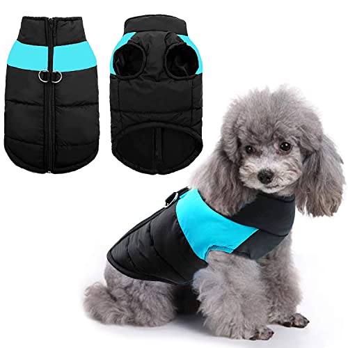 Invierno Perro Chaqueta,Abrigo Perro Pequeño,Chaqueta Cálida para Mascotas,Chaqueta de Invierno para Perros,Perrito Ropa,Mascota Chaleco Caliente para Perros de Clima frío Abrigo (M)