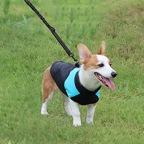 Invierno Perro Chaqueta,Abrigo Perro Pequeño,Chaqueta Cálida para Mascotas,Chaqueta de Invierno para Perros,Perrito Ropa,Mascota Chaleco Caliente para Perros de Clima frío Abrigo (L)