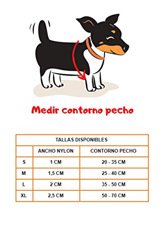 iPet Arnés Reflectante para Perros y Cachorros de Todos los tamaños | Arneses de Nylon con Forma de H en Diferentes Tallas y Colores | Arnés para Perro Antitirones (S: 1 x 20-35 cm, Azul)