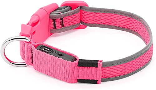 Iseen Collar de perro LED Micro USB recargable con luz brillante para mascotas cómodo y suave malla de seguridad para perros pequeños, medianos y grandes (L, rosa)