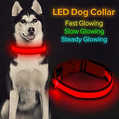 Iseen - Collar para perros con luz led brillante, con micro USB recargable, para mascotas, malla cómoda y suave, seguro, para perros pequeños, medianos y grandes (talla S, color rojo)