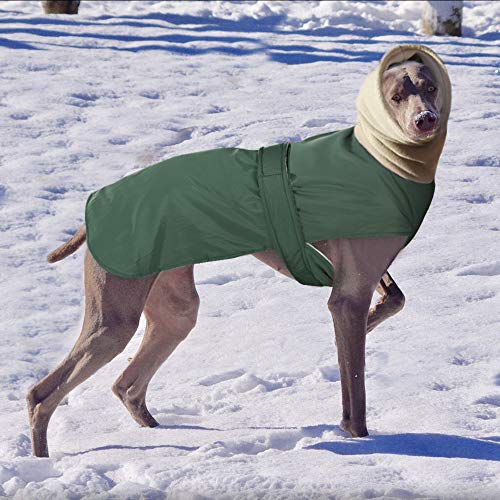 IUOU Abrigo Impermeable para Perros, Ropa para Perros súper cálida y Gruesa para Perros medianos, Galgos, Lobos y Perros pastores