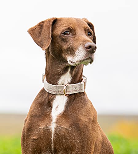 Jack & Russell Collar de Perro Premium Tweed Cody - Collar de Tweed con el Sello Original de J&R - Robusto y Elegante (L/XL - Circunferencia del Cuello 35,0-50,0 cm, Gris - Moteado)