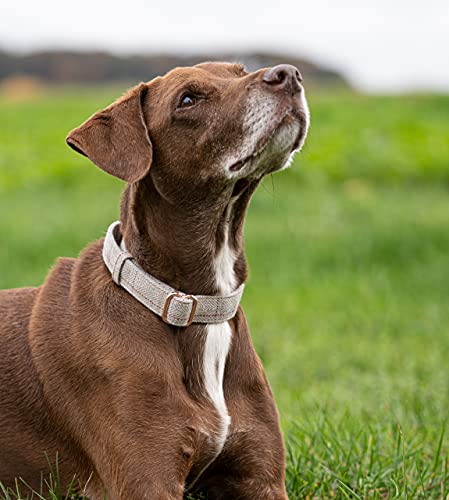 Jack & Russell Collar de Perro Premium Tweed Cody - Collar de Tweed con el Sello Original de J&R - Robusto y Elegante (L/XL - Circunferencia del Cuello 35,0-50,0 cm, Gris - Moteado)