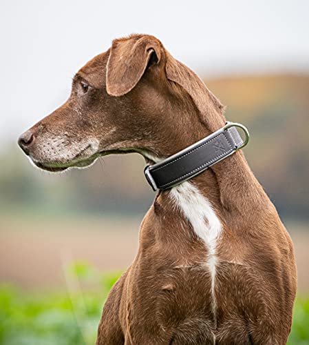 Jack & Russell Premium Perro Cuero Collar Amy - Collar de Cuero Genuino con Grabado Original de J & R Sello en Relieve - Robusto y Elegante (S - Circunferencia del Cuello 31,5-37,0 cm, Negro/Gris)