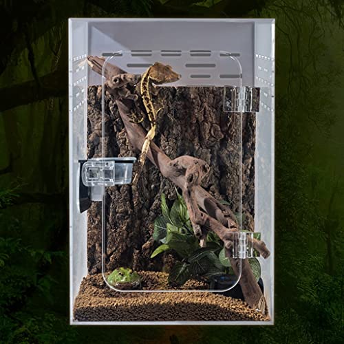 Jaulas Hábitat De Reptiles, Caja Alta Acrílica Caja De Cría De Reptiles Lagarto, Leopardo Gecko Tarántula Joven Lagarto Insectos Escondite Caja De Cría (Color : Clear, Size : 30x20x20cm)