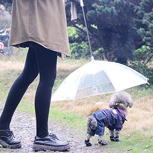 Jiamins Paraguas para perros pequeños y gatos, fácil y suave, portátil, transparente con cadena, para mantener seco en la lluvia, herramienta de equipo al aire libre