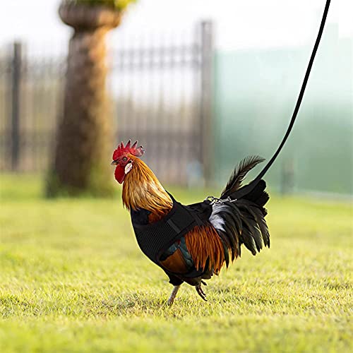 JINGLING Arnés De Pollo Ligero, Arnés De Pollo Ajustable con Correa Y Chaleco Transpirable para Mascotas, Arnés De Entrenamiento para Caminar con Patos O Gansos