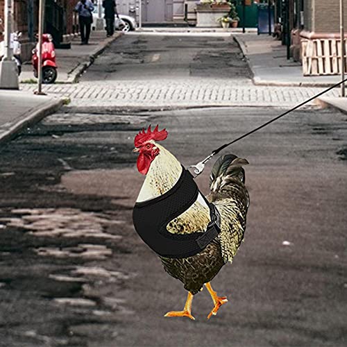 JINGLING Arnés De Pollo Ligero, Arnés De Pollo Ajustable con Correa Y Chaleco Transpirable para Mascotas, Arnés De Entrenamiento para Caminar con Patos O Gansos