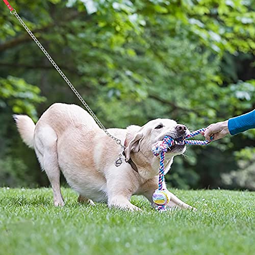 Jinlaili Cadena Perro Metal, Correa de Perro Asa Acolchada y Cómoda, 1.8m Cadena de Plomo para Perro Fuerte, Cadena de Perros para Perros medianos y Grandes, Sin mordida de Plomo (Rojo)