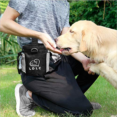 JJQHYC Bolsa de Entrenamiento para Perros Bolsa Premios Perro de Aperitivos con Cinturón Ajustable Desmontable