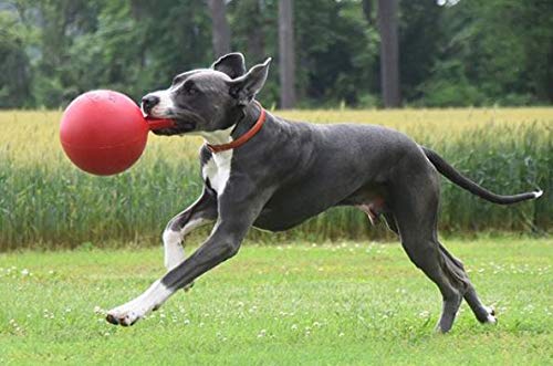 Jolly Pets Pelota para Masticar Tug-n-Toss, Resistente y con asa