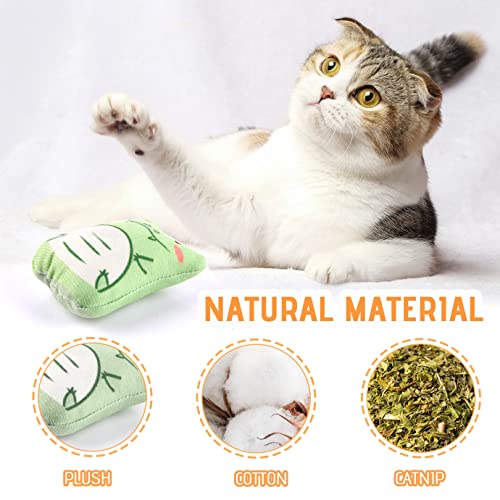 Jouseer Juguete para gatos con menta para gatos, 10 unidades, juguete interactivo para morder con menta para gatos.