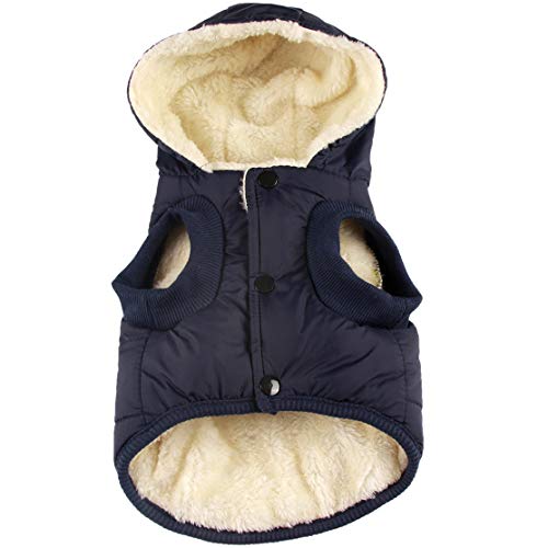 JoyDaog - Sudadera con capucha para perro con forro polar cálido en invierno, chaqueta con capucha para perros pequeños, color azul, talla M