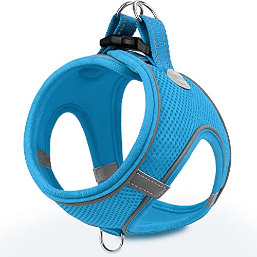 Joytale Arnes Perro, Reflectante Cómodo Transpirable Arnés, Perros Arneses Chaleco para Gato y Cachorros Perro, Azul, M