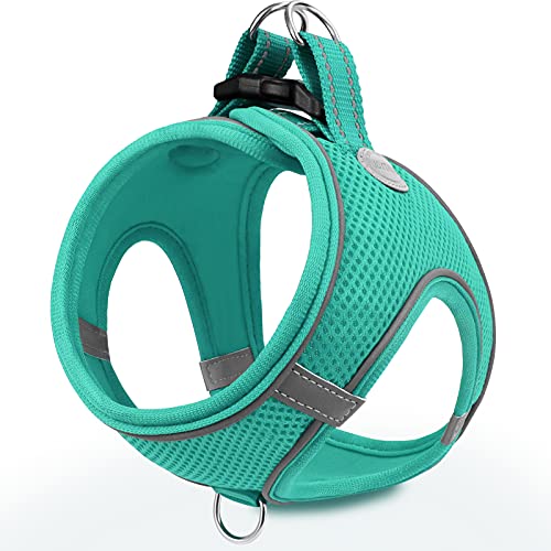 Joytale Arnes Perro, Reflectante Cómodo Transpirable Arnés, Perros Arneses Chaleco para Gato y Cachorros Perro, Verde Azulado, L