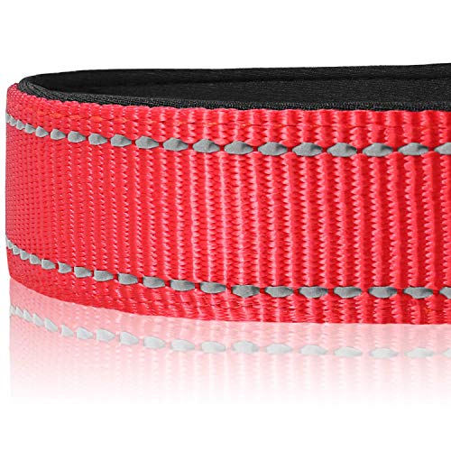 Joytale Collar Perro Reflectante,Nylon Collar Acolchado con Neopreno,Ajustable para Perros Pequeño,30-40cm,Rojo