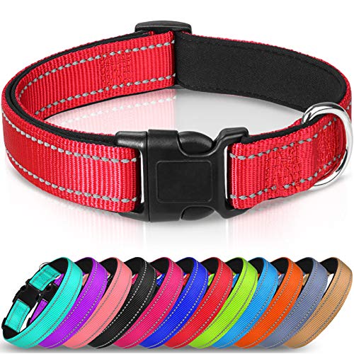 Joytale Collar Perro Reflectante,Nylon Collar Acolchado con Neopreno,Ajustable para Perros Pequeño,30-40cm,Rojo