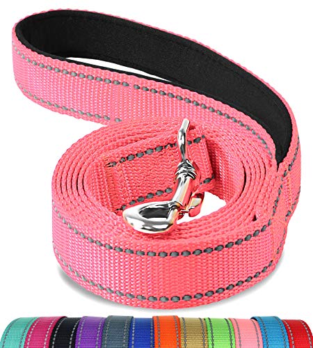 Joytale Correa para Perros Reflectante, Correa para Perros con Mango Acolchado, Correa de Adiestramiento para Perros Pequeños y Perrito, 180×2cm, Rosa