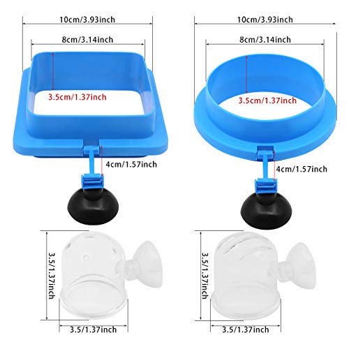 Juego de alimentador de peces de acuario, 2 anillos de alimentación de peces y 2 vasos de alimentación de gusano de sangre flotantes de acrílico para accesorios de pecera