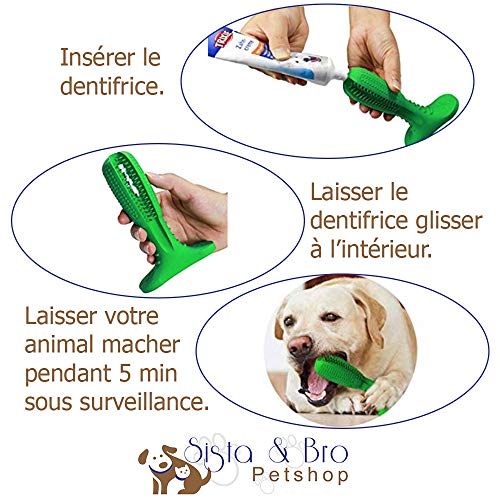 Juego de cepillos de dientes perros + pasta dientes para cepillar y limpiar: Bastón de juguete + pasta dientes perros cuidado dental, caucho natural duradero + pasta de masticar para aliento fresco.