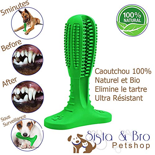 Juego de cepillos de dientes perros + pasta dientes para cepillar y limpiar: Bastón de juguete + pasta dientes perros cuidado dental, caucho natural duradero + pasta de masticar para aliento fresco.