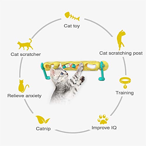 Juguete del Circuito del Gato, Juguetes Interactivos del Rompecabezas del Juguete De La Caza del Gatito Que Juega con Uno Mismo con La Ventosa