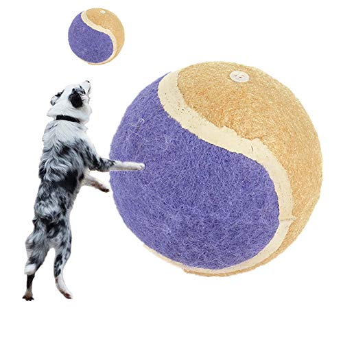 Juguetes para Gato Juguetes Gato Muelle para Gatos Muelle Gatos Juguete para Gatos Juguetes para Gatos Interactivos Rueda Gatos Ejercicio Gatos Juguetes 7.5,Purple