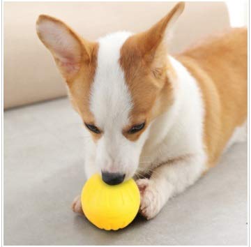 Juguetes para Perros Bolas Sólidas, Duraderas portátiles EVA Amarillo Sólido Resistente a la mordedura Mascota Flotante Entrenamiento para Perros Pelota para Masticar Juguetes