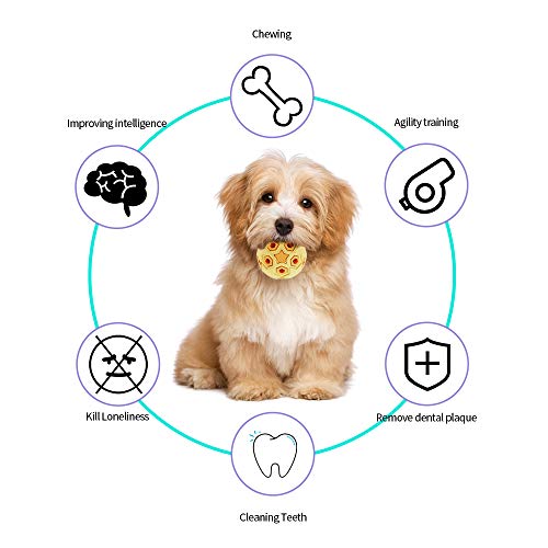 Juguetes para Perros para Perros Pequeños / Medianos Juguetes Robustos para Entrenar y Limpiar Los Dientes, Juguetes Interactivos para Perros para Masticar, Cazar y Buscar (con Cascabeles, Amarillo)