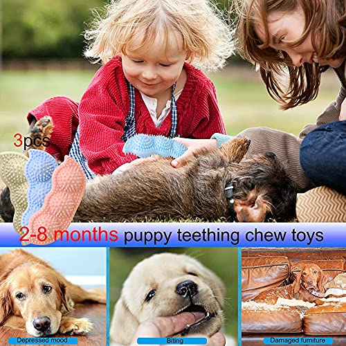 Juguetes para Perros,3 Piezas Juguetes Perro,Durable Juguete Masticable,Juguete para Morder para Perro,para Perros con Forma de Guisante Palo Molar