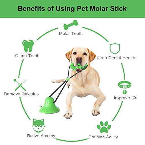 Juguetes Perro, Juguete Molar Multifuncional, Multifunction Pet Molar Bite Toy, Juguete Molar para Perros Hecho de Goma Termoplástica, Limpieza de Dientes con Función de Cuidado Dental para Perro