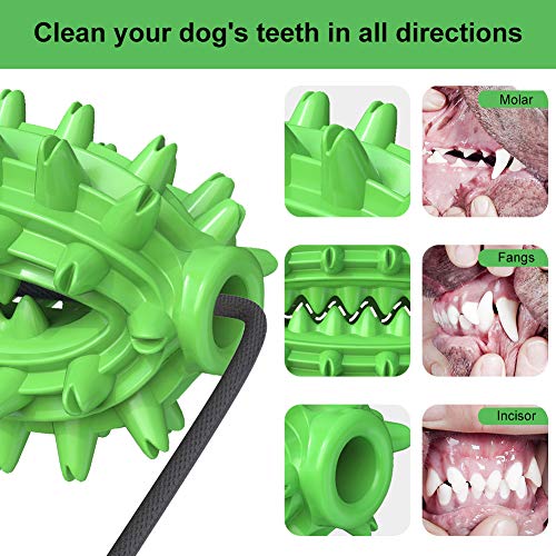 Juguetes Perro, Juguete Molar Multifuncional, Multifunction Pet Molar Bite Toy, Juguete Molar para Perros Hecho de Goma Termoplástica, Limpieza de Dientes con Función de Cuidado Dental para Perro