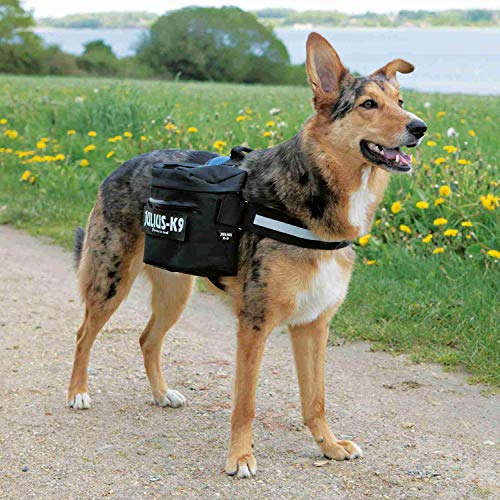 JULIUS-K9, 1622NT, Bolsos Laterales para K9-Powerharness, Negro, Tamaño 1-2