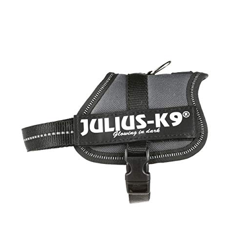 Julius-K9 162ANT-BB2 - Arnés para Perros, Gris (Gris Antracita), 2XS/Baby 2, 1 unidad