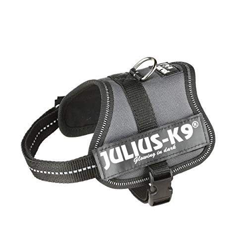 Julius-K9 162ANT-BB2 - Arnés para Perros, Gris (Gris Antracita), 2XS/Baby 2, 1 unidad